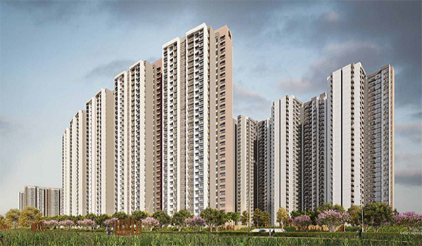 Featured Image of Prestige Forest Edge